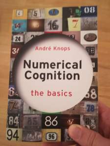 Numerical Cognition - the basics